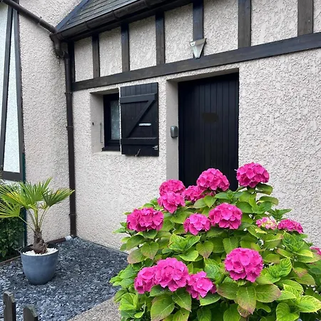 Cosy Avec Jardin, Piscine Et Parking Hébergement de vacances Cabourg