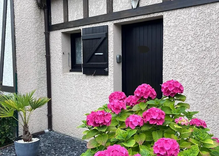 Cosy Avec Jardin, Piscine Et Parking Hébergement de vacances Cabourg